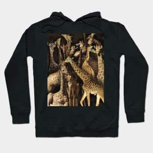 Giraffes Hoodie